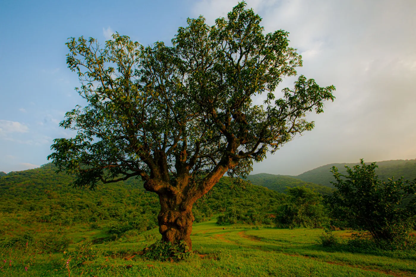 Satvam Hills Mulshi overview